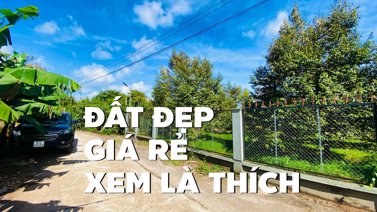 Chủ ngộp buộc bán rẻ đất vườn 1947m2 ở BR-VT đất vuông bằng màu mỡ đẹp lắm