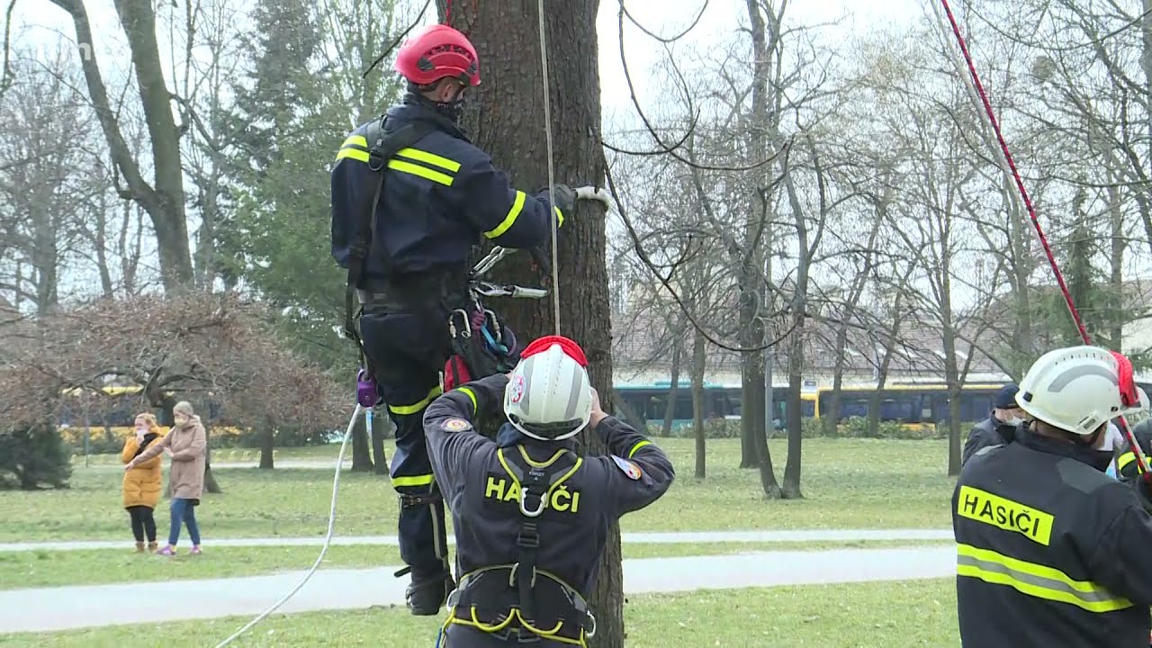 Staré stromy poslúžili hasičom