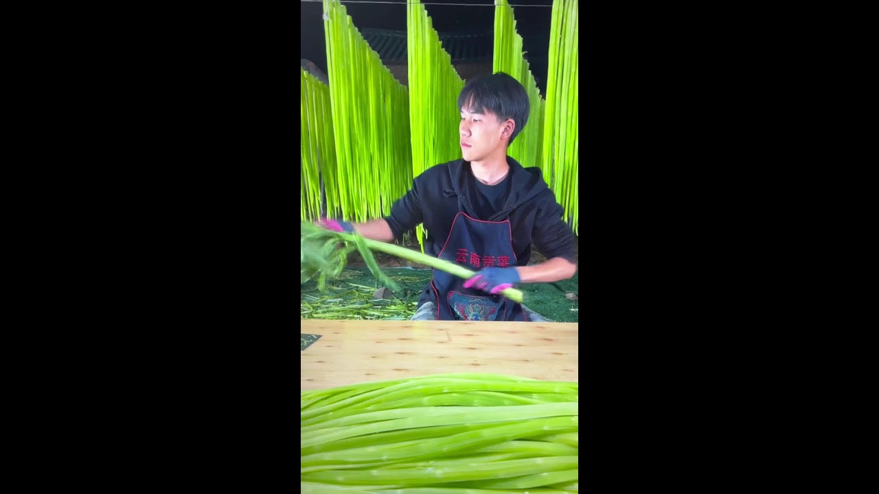 LIVE🔴Ultimate Crunchy Vegetable: Premium Dried Tribute Vegetable (Gong Cai)