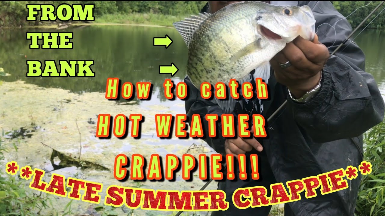 How to Catch Summer Crappie 