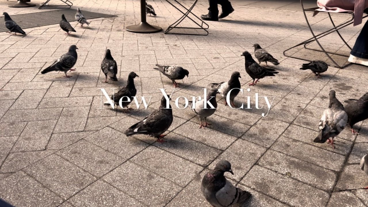 Autumn in NYC 🍁 October 2025- SoHo, Lower East Side, Chinatown, Grand Central Station 🚉 