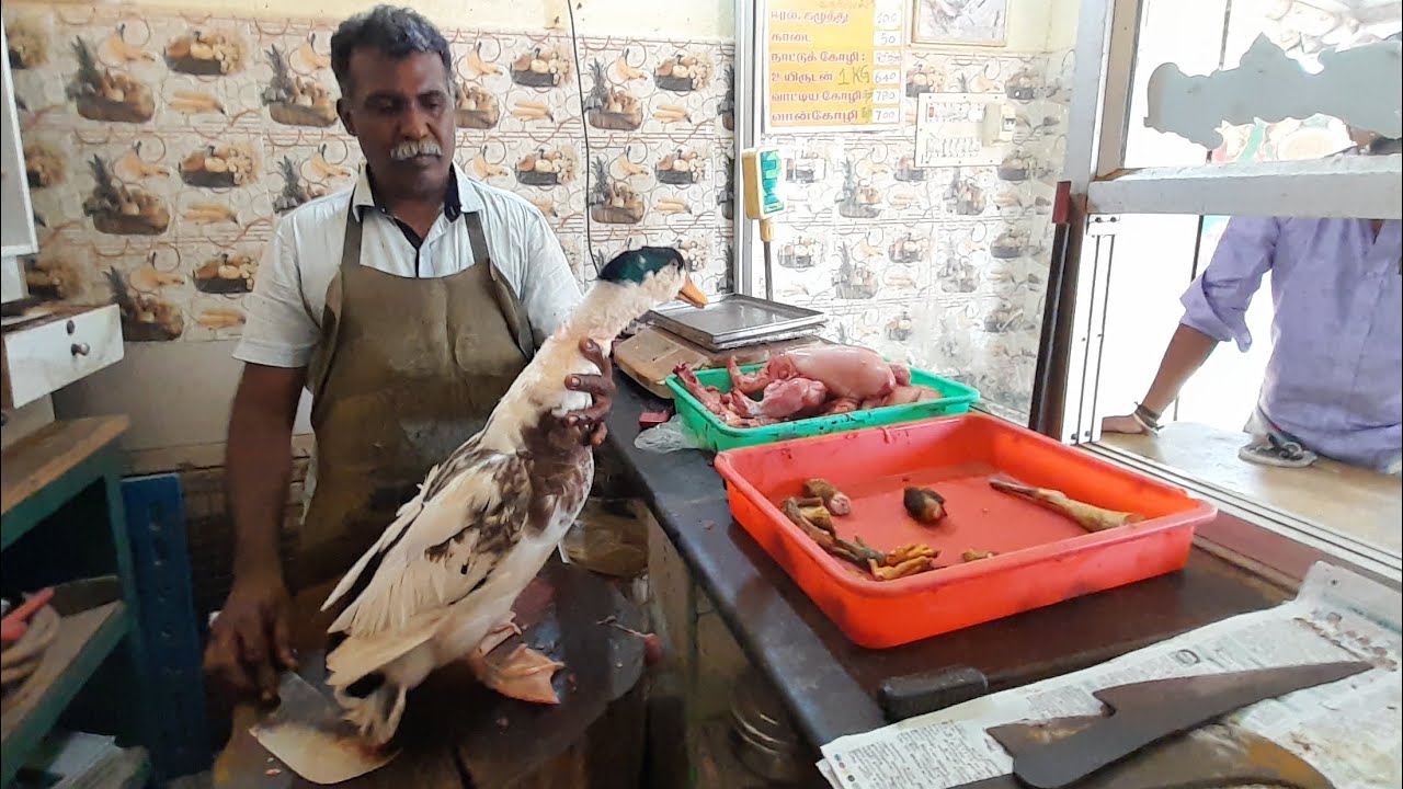 Big Size Duck meat 3kg💥💥💥|| How to Cut big duck meat|| Full Duck Cutting