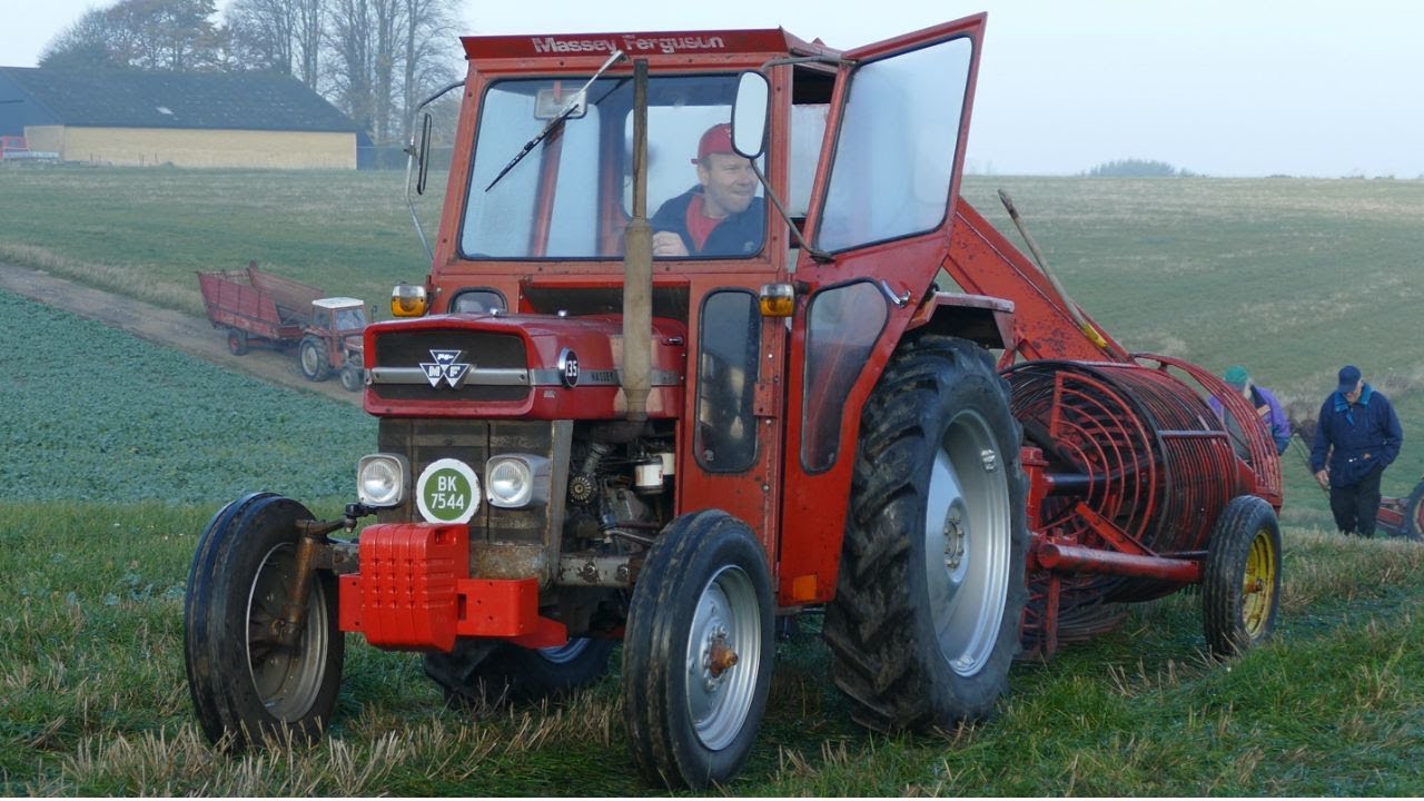MASSEY FERGUSON 135 During Beet Harvest