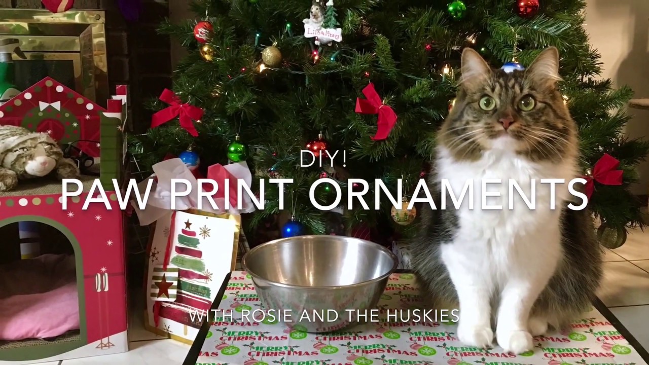 DIY: Paw Print Ornaments with Rosie and the Huskies