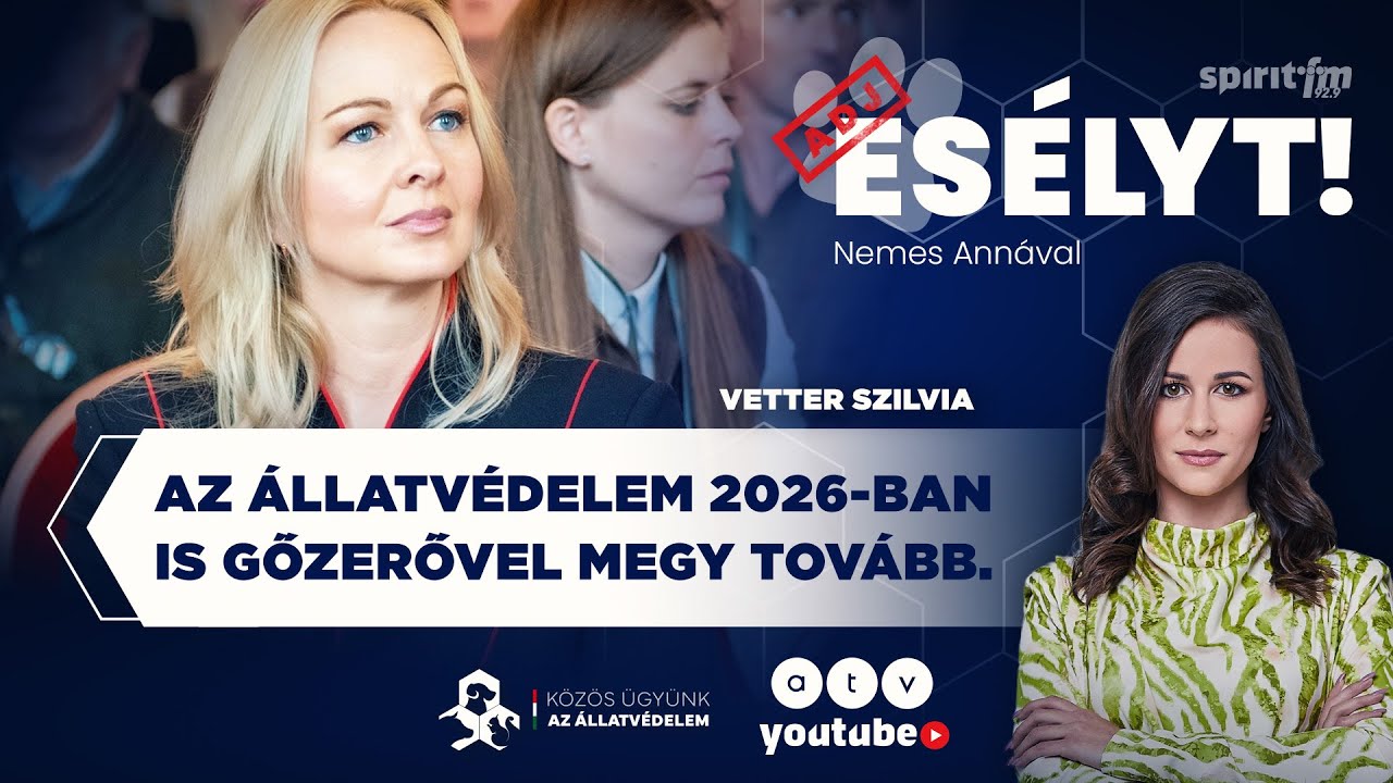 Pályázatok; Támogatások; Összefogás - 2026-os tervek | ADJ ESÉLYT!