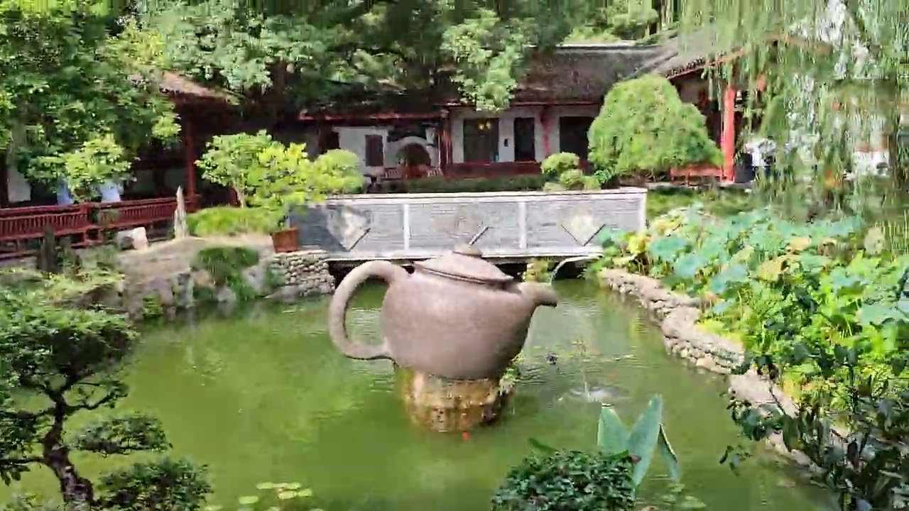 CHINY LONGJING Long Jing tea teren plantacji wrzesień 2024