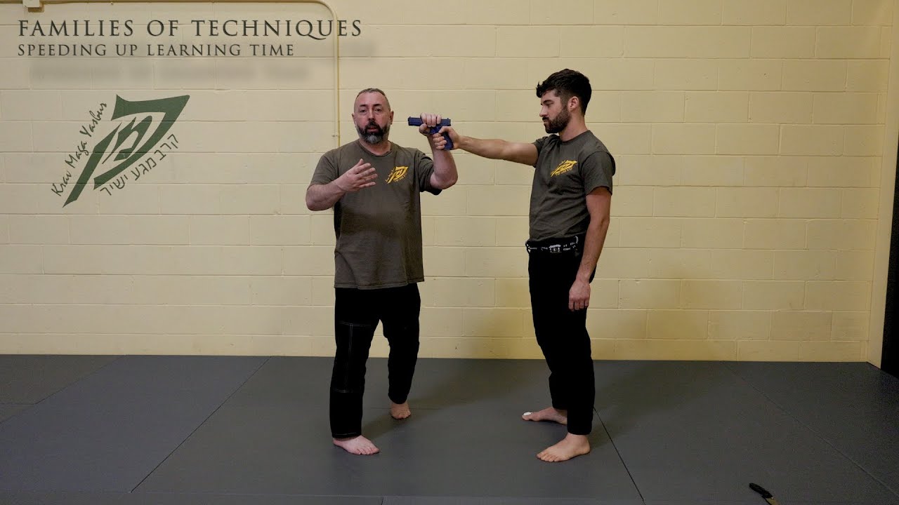 Part 6 (of 7) What Makes Krav Maga Effective? Families of Techniques