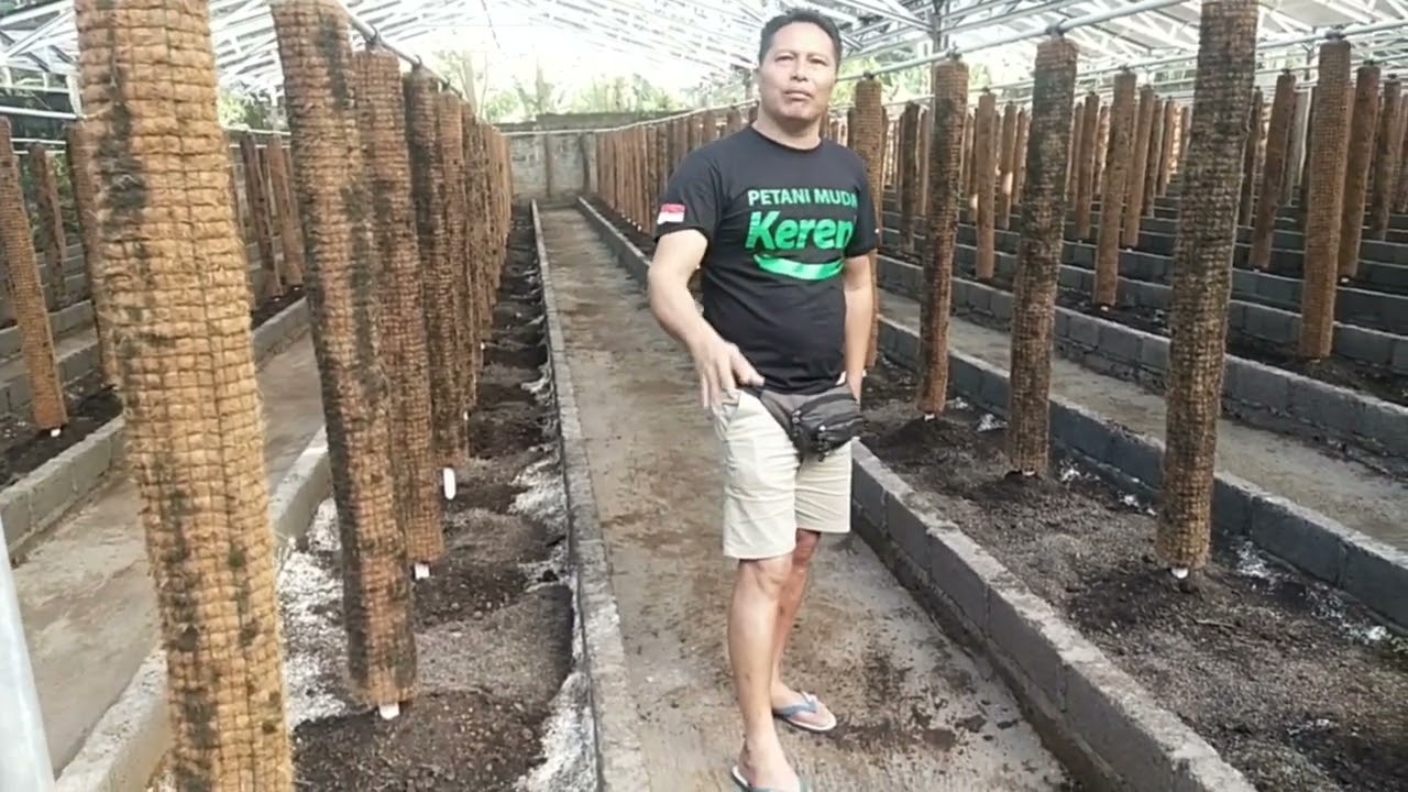 MOTIVASI PETANI VANILI PART 1