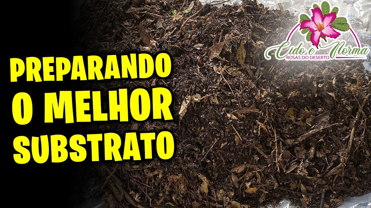 ✅[SERRAPILHEIRA] O melhor e mais barato SUBSTRATO para sua ROSA DO DESERTO