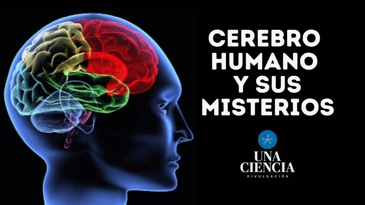 EL CEREBRO HUMANO Y SUS MISTERIOS | UNA VOZ, UNA CIENCIA