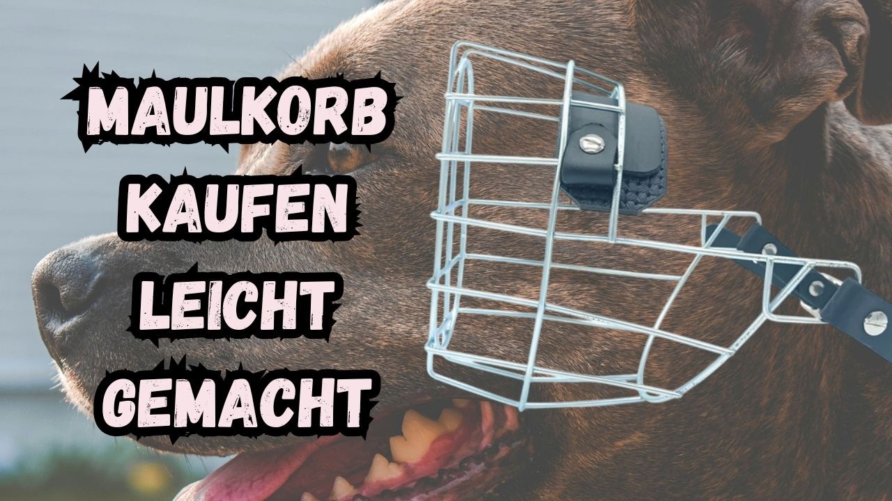 PASSENDER Maulkorb LEICHT gemacht - Dieser komplette Guide erspart dir den Rücksende Horror