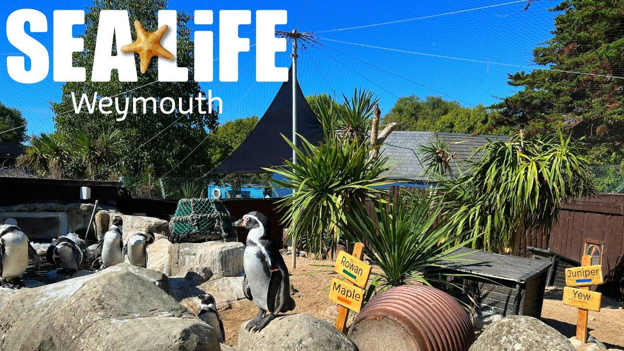 SEA LIFE Weymouth Vlog August 2022