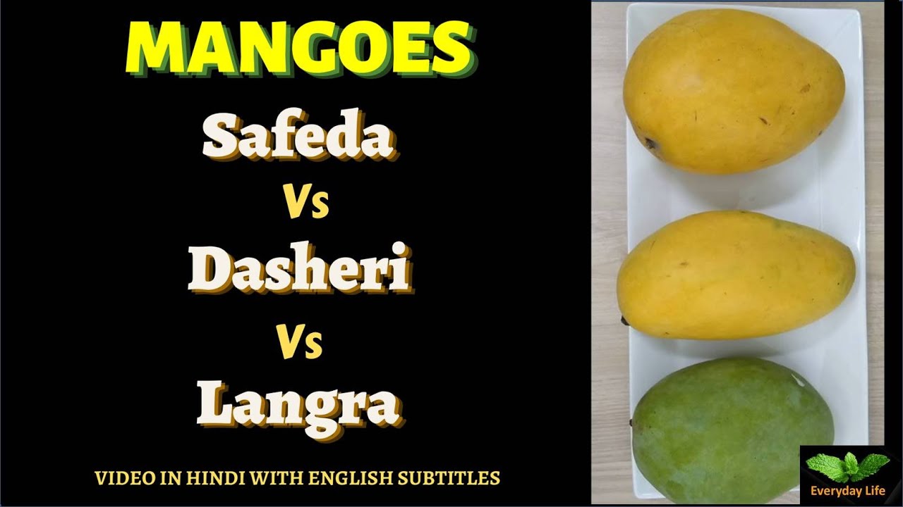 Mangoes : Safeda Vs Dasheri Vs Langra | आम सफेदा vs दशहरी vs लंगड़ा | Everyday Life # 259