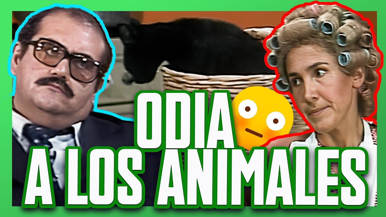 Doña Florinda odia a su nueva gata