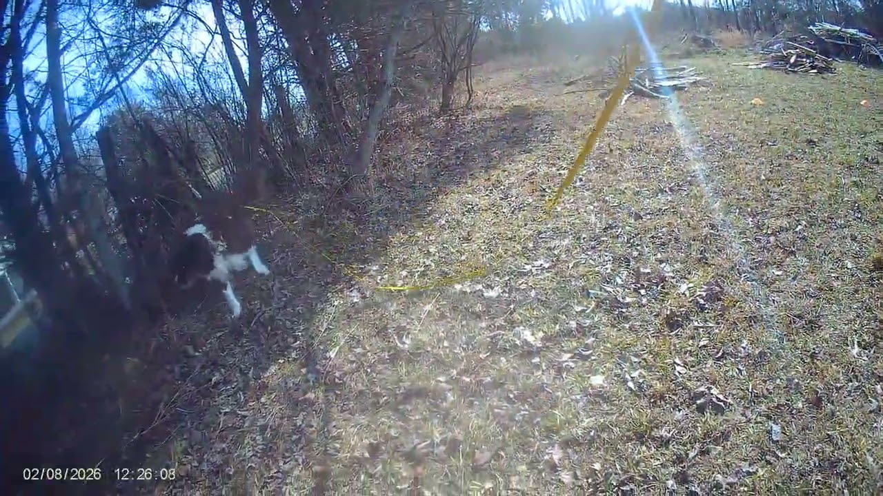 NASDA Run 1 2026 02 08