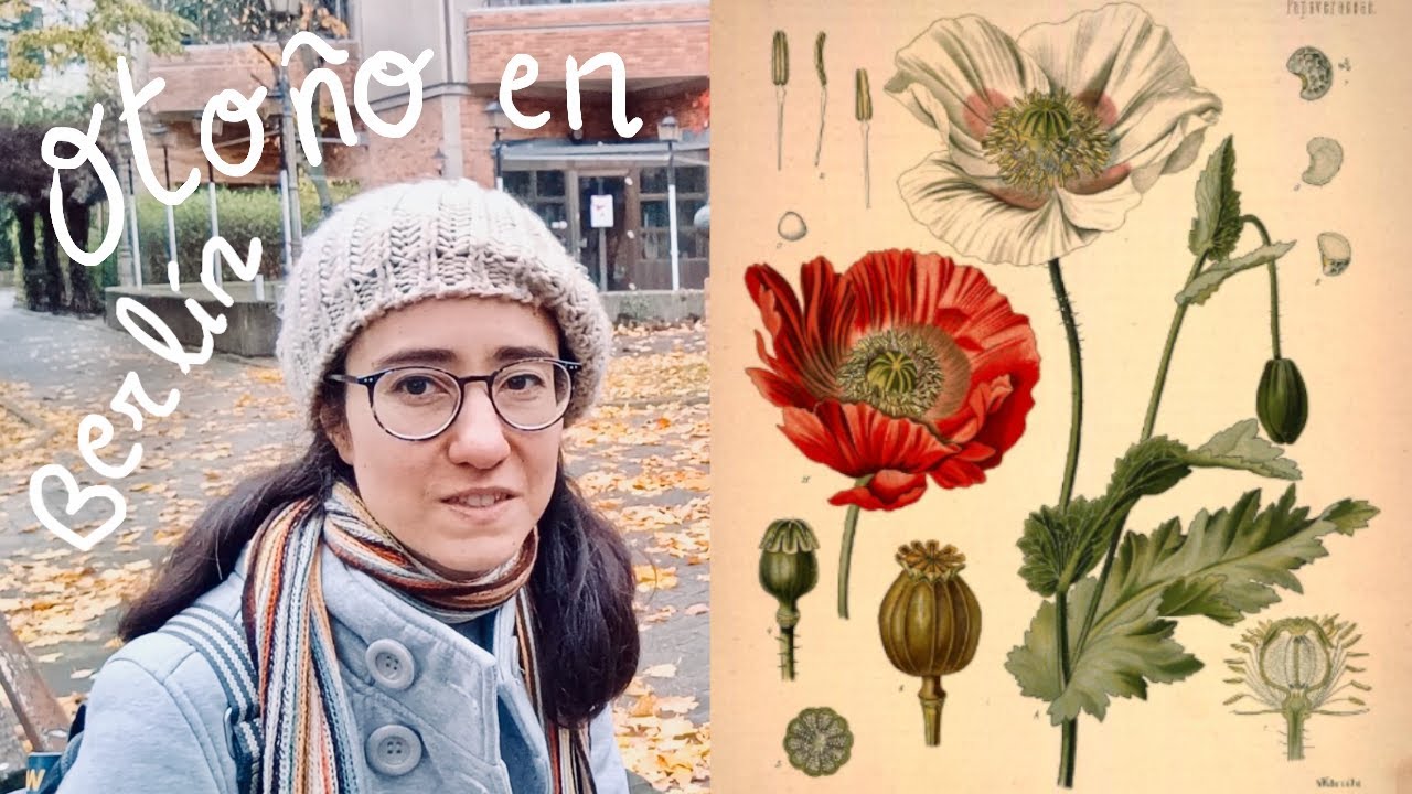Capturar lo efímero de la naturaleza: bocetos y herbarios en el s. XIX 🍂