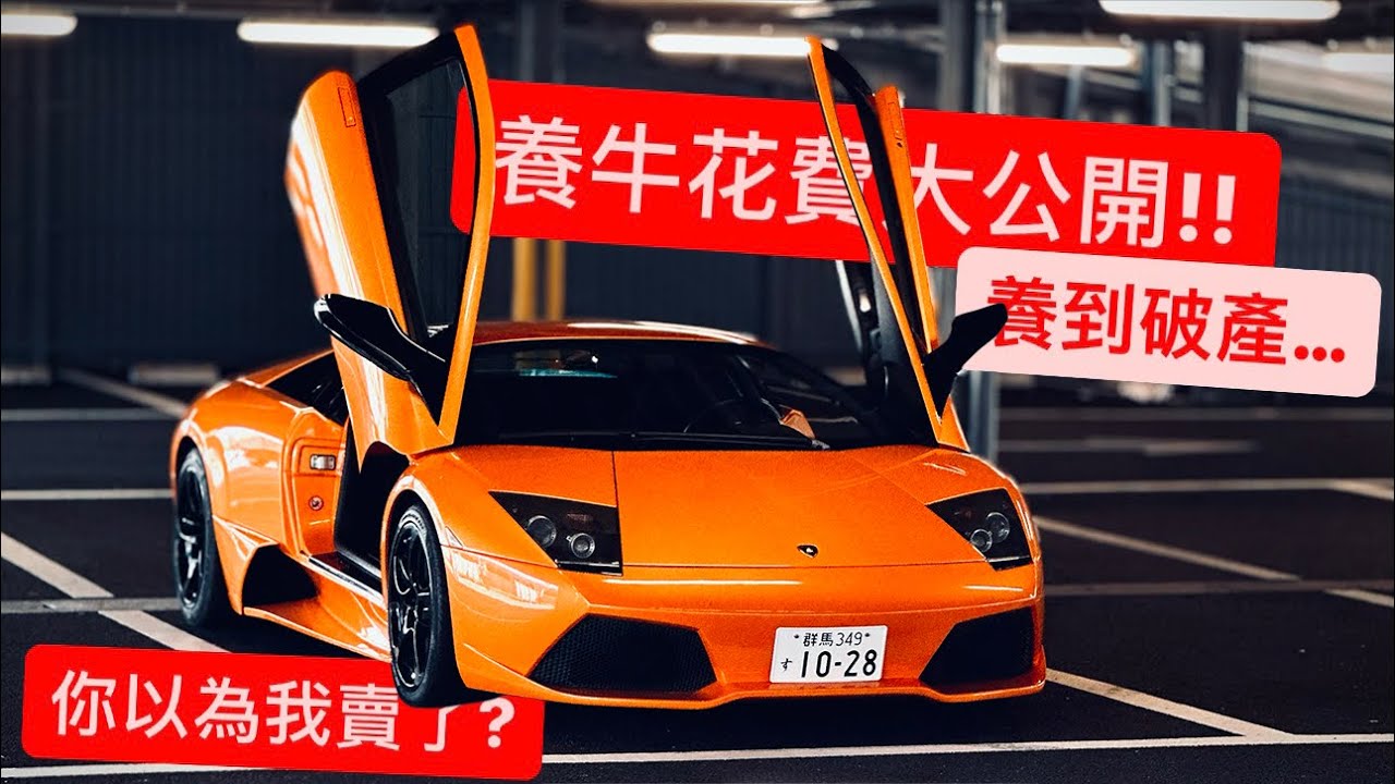 在日本養大牛有多貴?! LP640的破產惡夢...