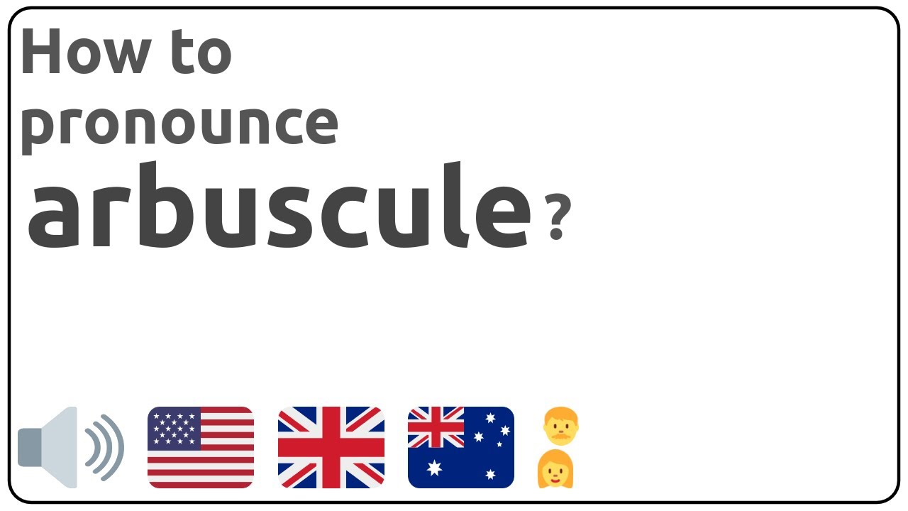 How to pronounce arbuscule in english?