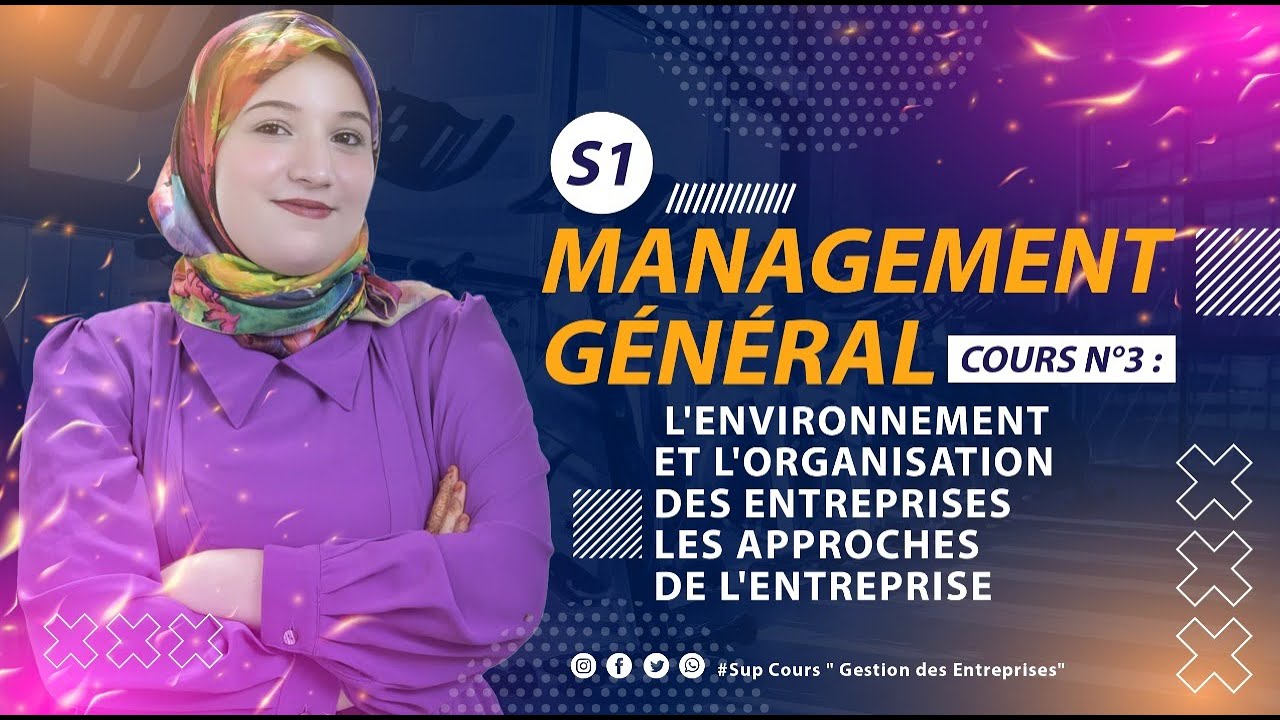 Management général : l'environnement et l'organisation des entreprises-les approches de l'entreprise