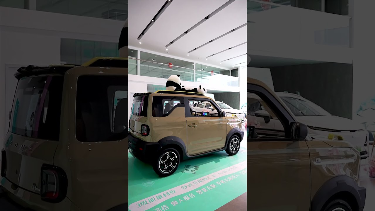 Geely has launched the Panda Mini EV, an electric car designed to compete with the Wuling Mini EV.