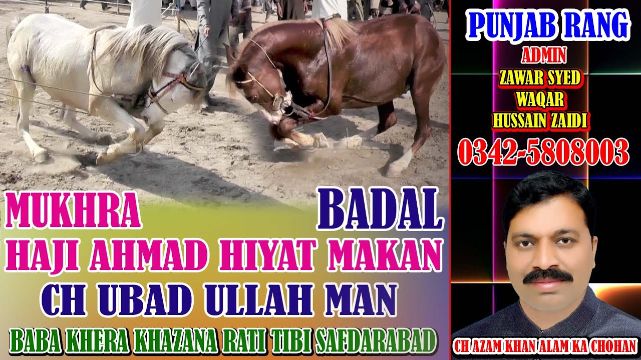Mukhra l Badal l Horse Dance l Baba Khera KHazana Rati Tibi Safdarabad 2024 l Haji Ahmad Hiyat Mak
