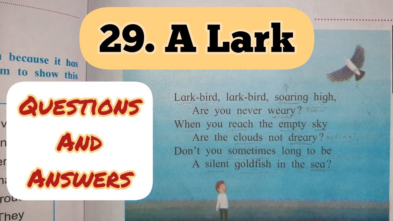 5th Std - English - Chapter 29 A Lark explained in hindi with question answers - Maharashtra board