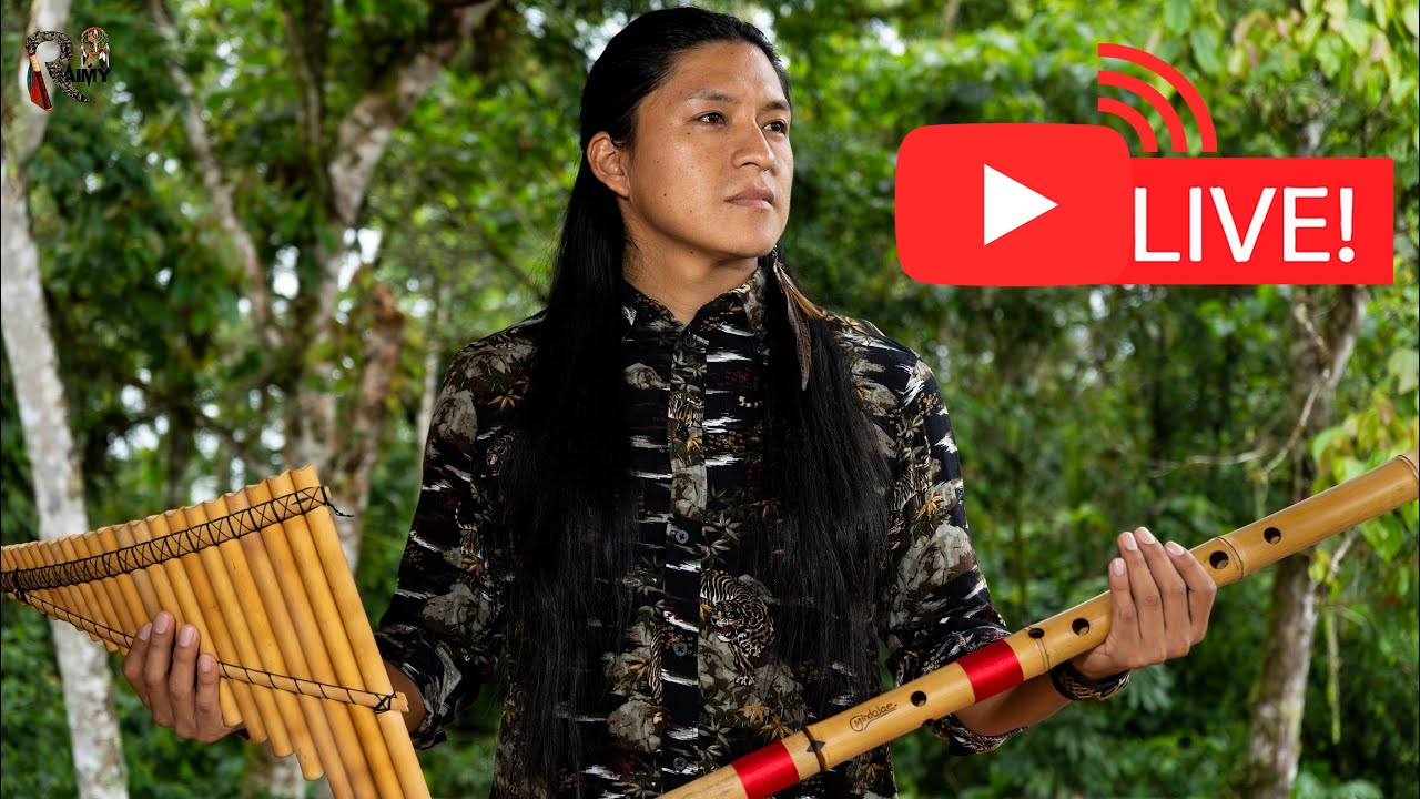 Energy and Good Music to Brighten Up your Day Live from Nature
