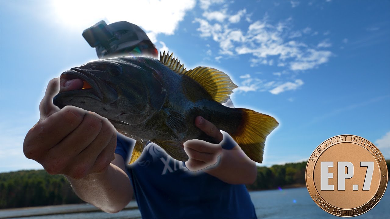 Fishing for BIG SMALLMOUTH at Quabbin Reservoir (Pin hunting)