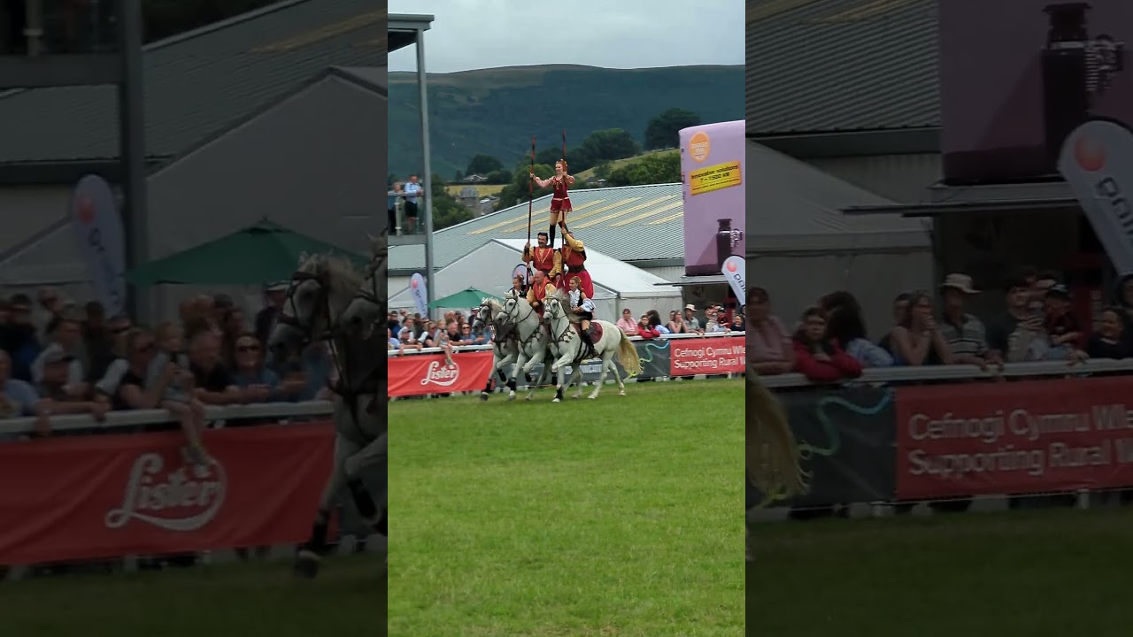 Ukrainian Cossacks, 2025 Royal Welsh Show