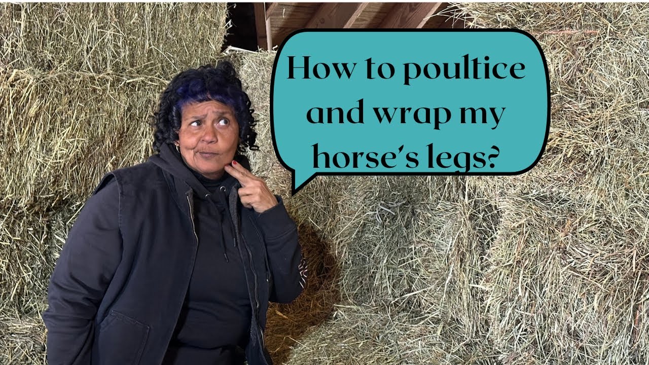 How to poultice and wrap your horse's leg