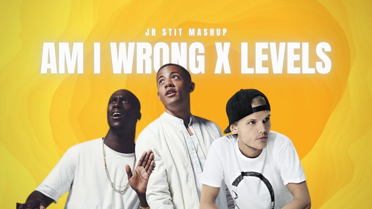 AM I WRONG X LEVELS (Nico&Vinz, Avicii) [Jr Stit Mashup]