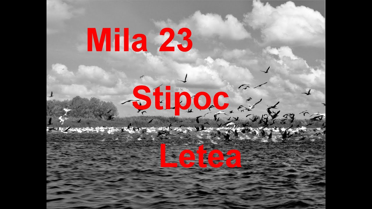 Mila 23 / Manastirea Stipoc / Padurea Letea
