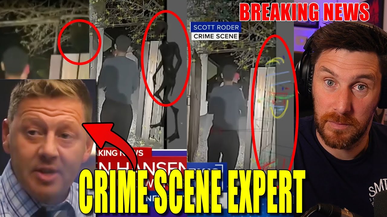 Mind Blowing Analysis On Vegas Family Aliens In Backyard