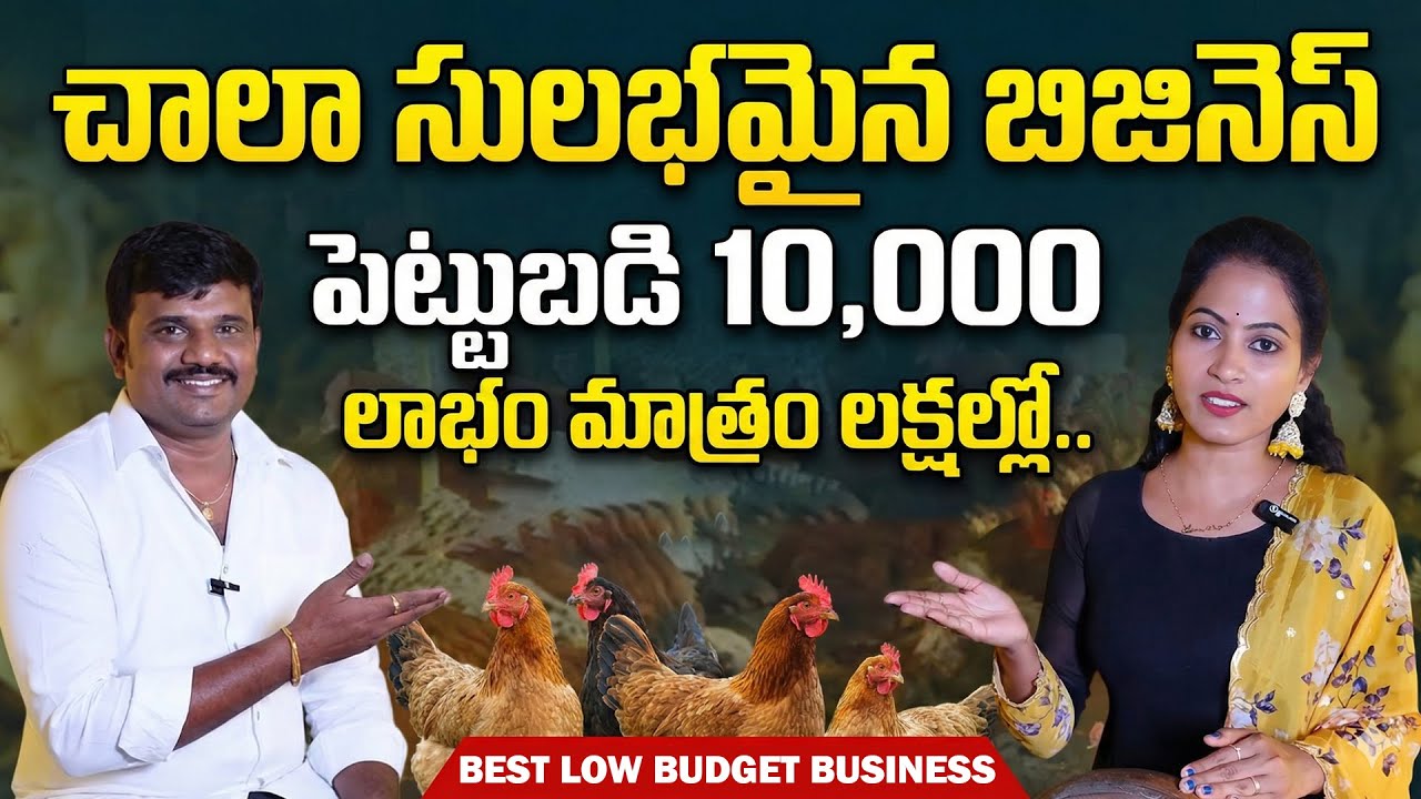 Aseel Chick Factory Natukollu Farm l Best Business Ideas 2025 | Poultry Farming | SumanTV Sandhya