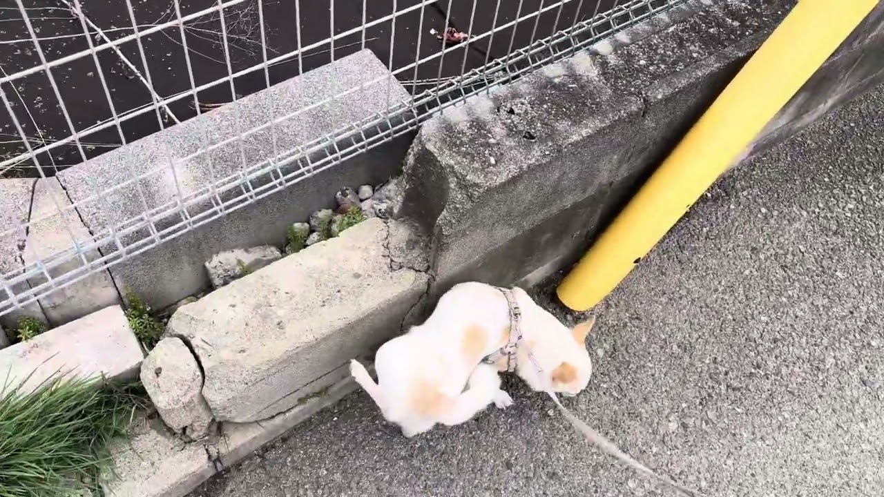 色即是空空即是色、なんでもないものがあらゆるものである