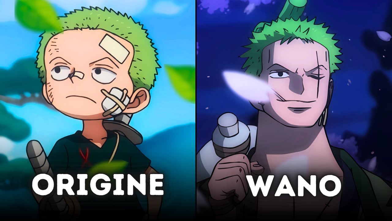 Pourquoi personne ne remarque le développement de Zoro ?