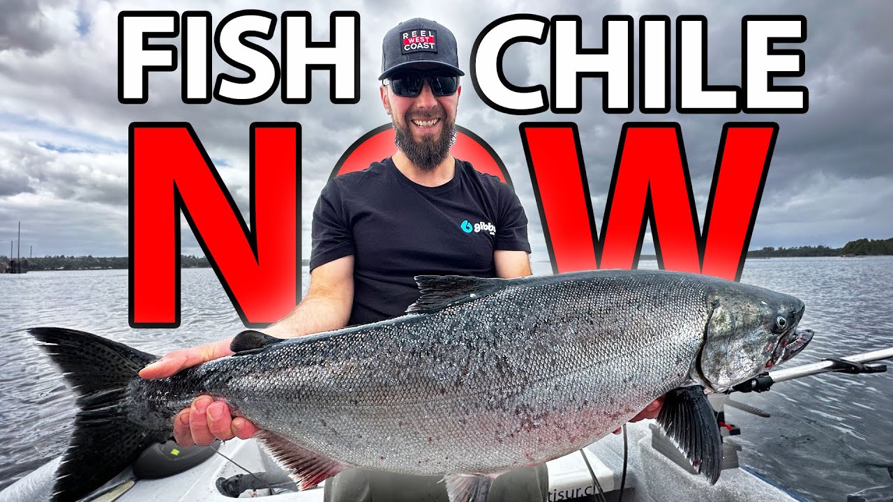 Why You Should Go Fishing In Chile
