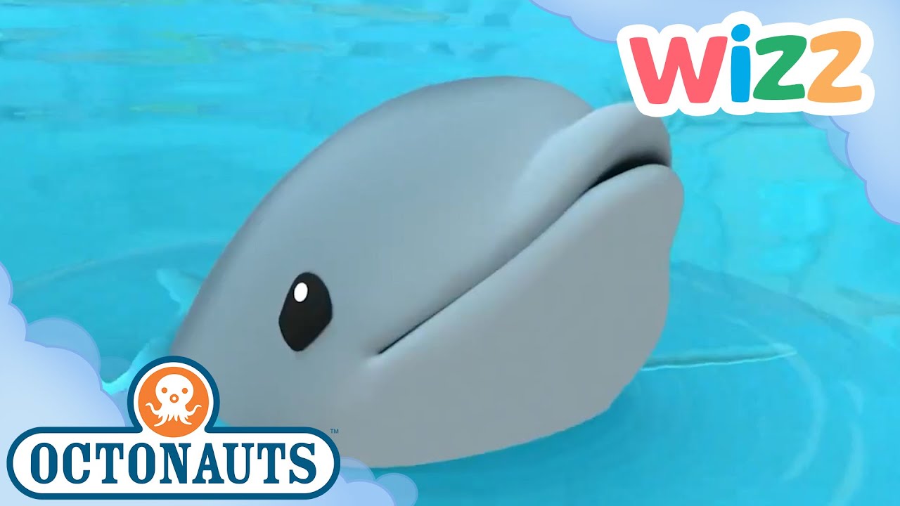 ‪@Octonauts‬