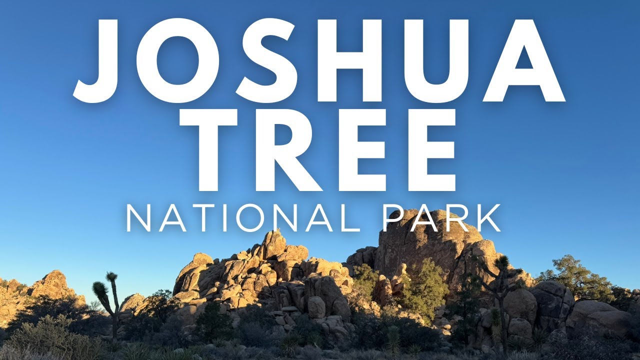 A Day in Joshua Tree National Park | California Desert Adventure