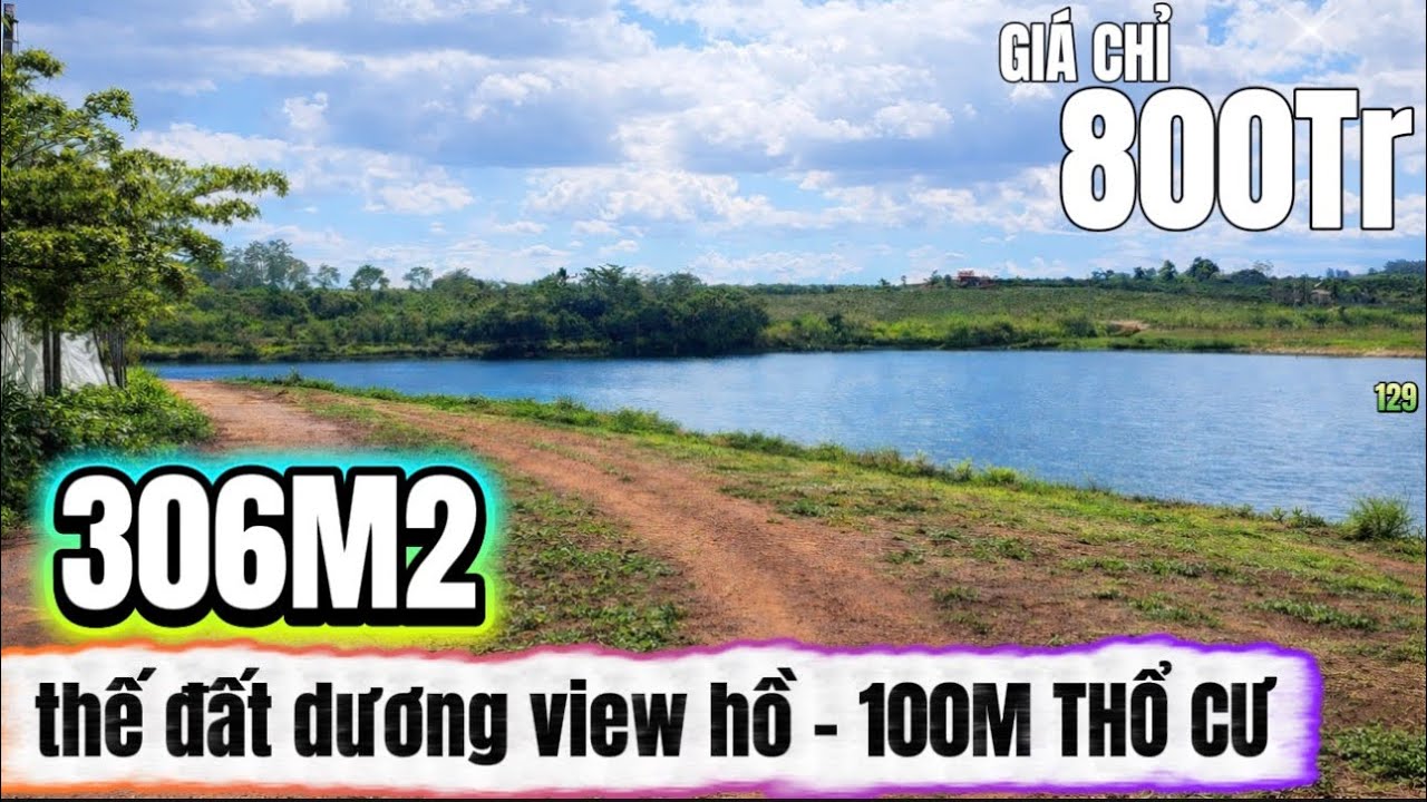 🔴 306m² view hồ – 100m thổ cư – giá chỉ 800 triệu