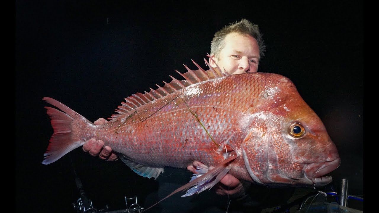 Happy Fisherman   EP108 As the snapper starts