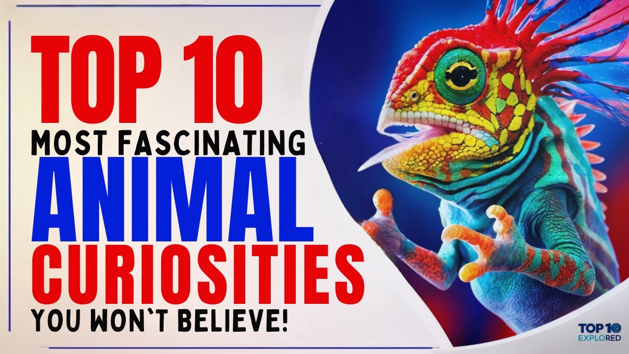 Top 10 Most Fascinating Animal Curiosities You Won't Believe!
