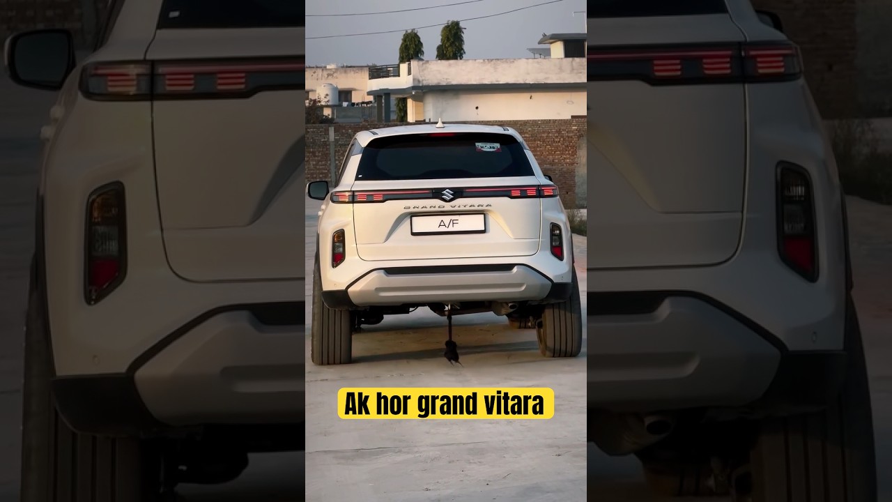 Ak Hor Grand Vitara modified #grandvitara  #youtubeshort #youtubeshorts