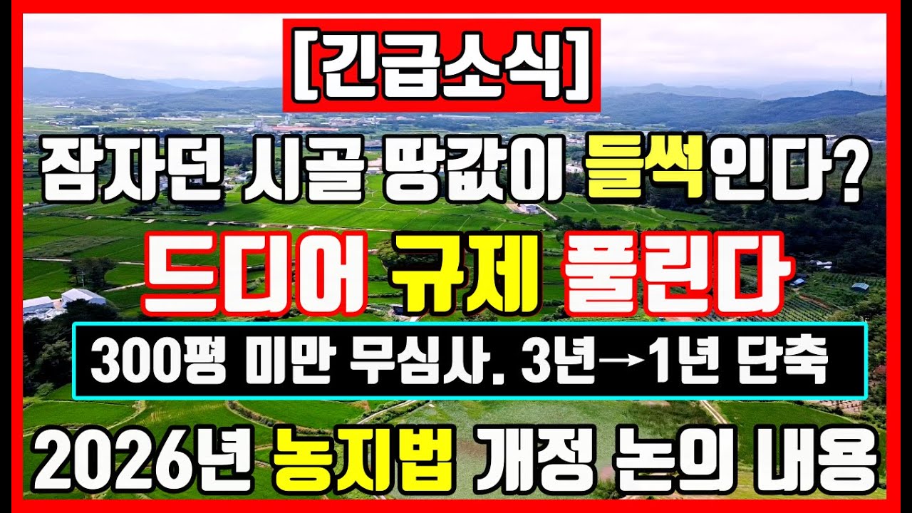 [긴급] 2026 농지법 개정안 가이드! 300평 미만 심사 면제, 드디어 규제 풀린다. #시골땅 #촌땅 #농지 #착한부동산