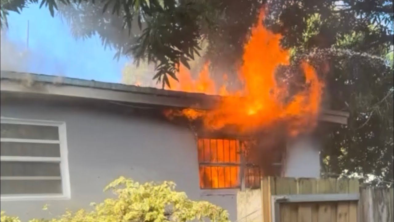 Our House Caught Fire 