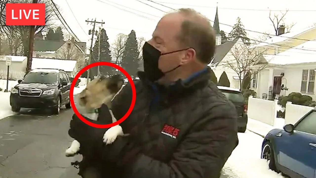 Top 10 Horrific Live TV Disasters **SHOCKING**