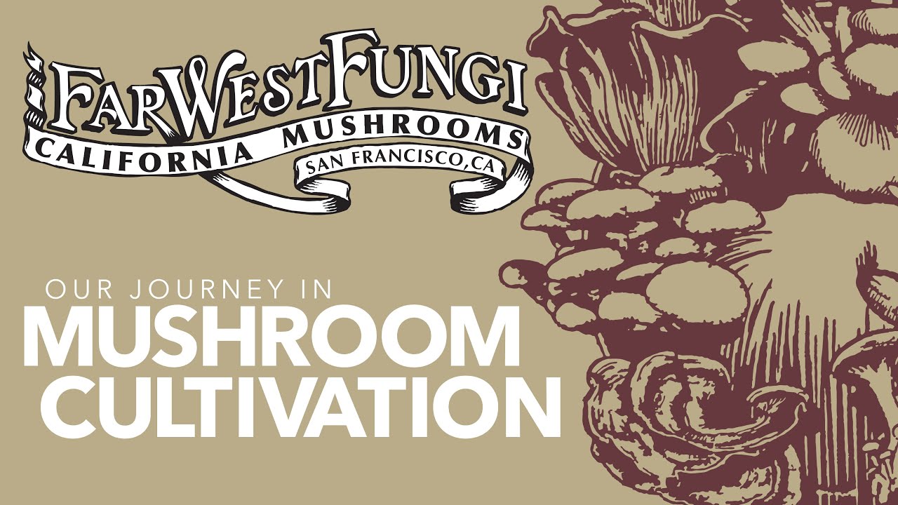 Exotic Mushroom Cultivation | Far West Fungi