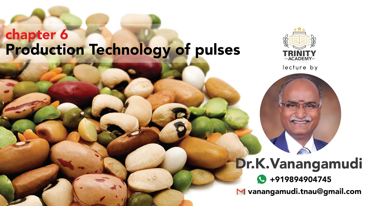 Production Technology of Pulses