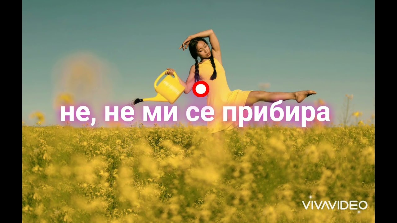 Песента на щурците - Инструментал Караоке