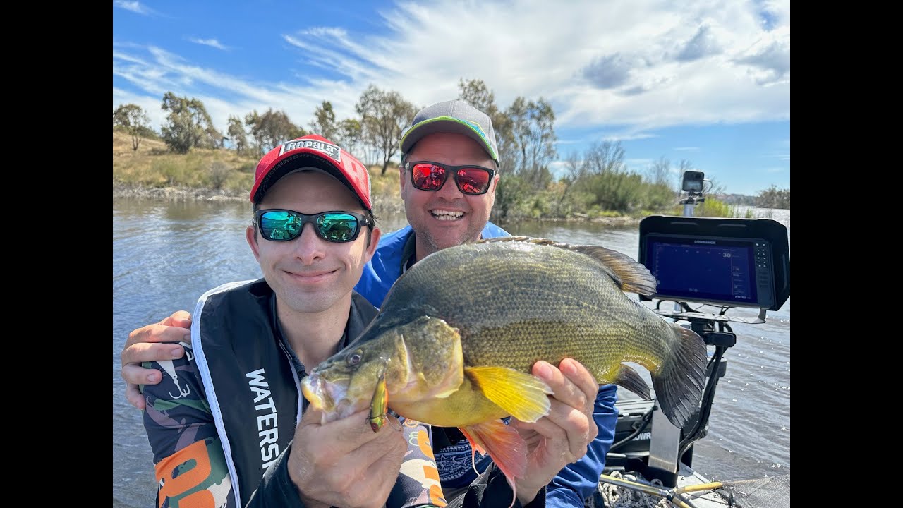 IFISHTV Golden Perch on Vibes at Googong Dam - Canberra